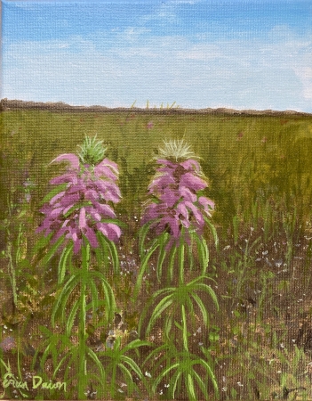 Bee Balm Besties by artist Erica Dawn Smith